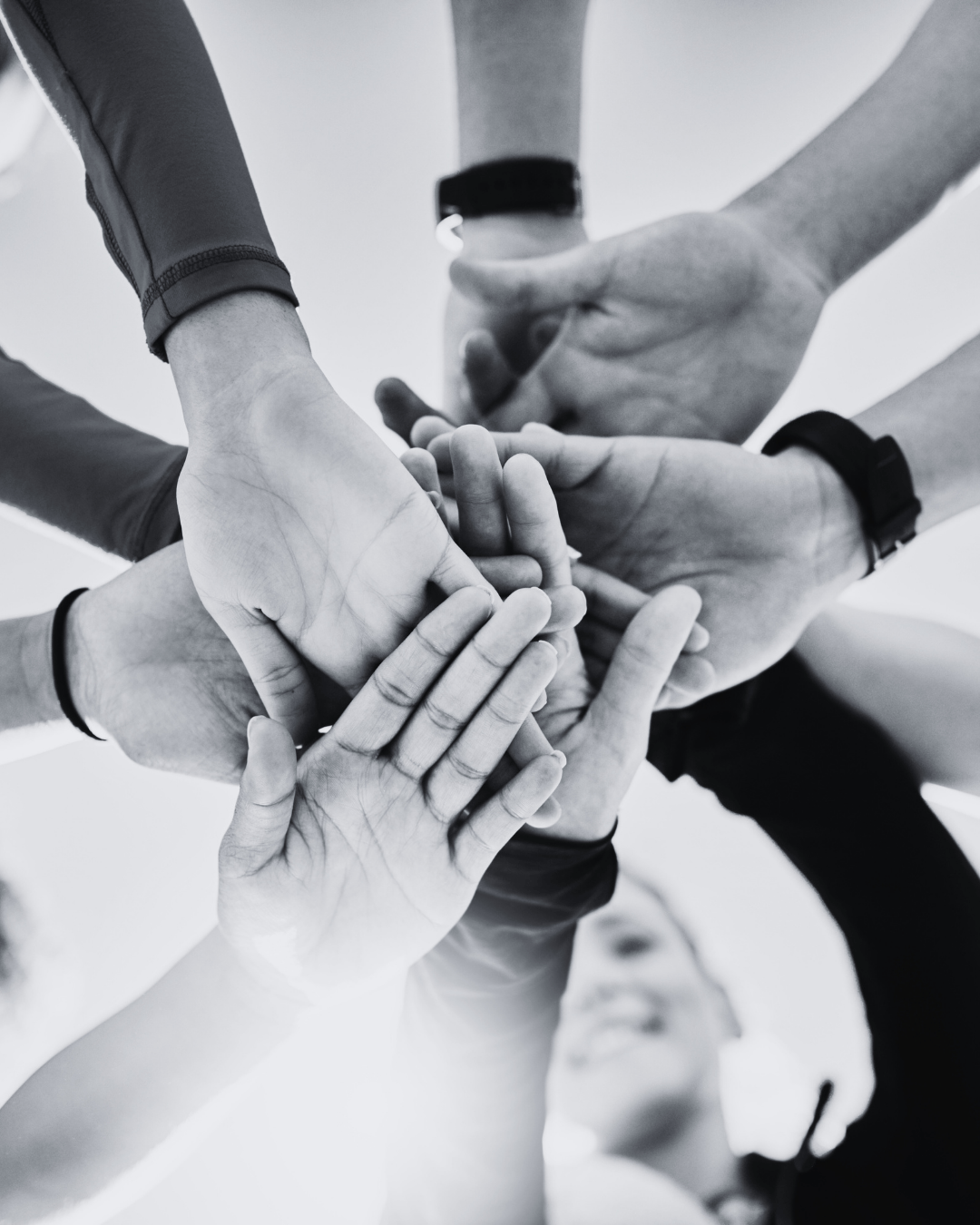 SafeHaven Digital Assets Portrait Images (4)